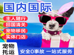布拉克航空货运国际宠物托运 【国